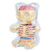 Gummi Bear Anatomy Model 4-D Puzzle Kit for sale online